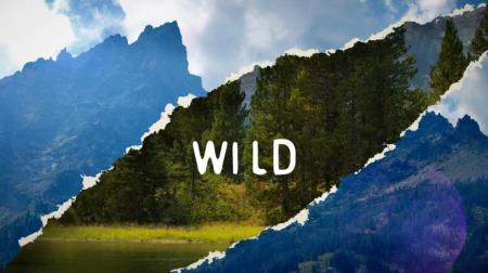Re-Wild Yourself